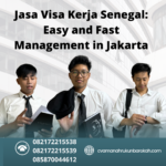 Jasa Visa Kerja Senegal Easy And Fast Management In Jakarta