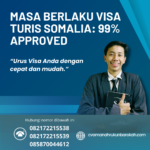 Masa Berlaku Visa Turis Somalia 99% Approved