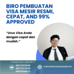 Biro pembuatan visa mesir resmi, cepat, and 99% approved