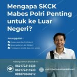 Mengapa skck mabes polri penting untuk ke luar negeri