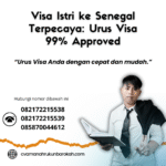 Visa istri ke senegal terpecaya urus visa 99% approved