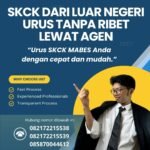Skck dari luar negeri urus tanpa ribet lewat agen