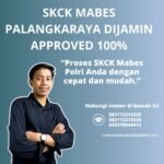 Skck mabes palangkaraya dijamin approved 100%