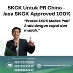 Skck untuk pr china jasa skck approved 100%