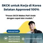 Skck untuk kerja di korea selatan approved 100%