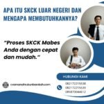 Apa itu skck luar negeri dan mengapa membutuhkannya (5)