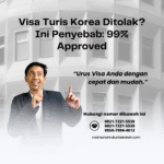 Visa Turis Korea Ditolak Ini Penyebab 99% Approved