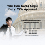 Visa Turis Korea Single Entry 99% Approved