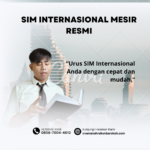 SIM Internasional Mesir Resmi